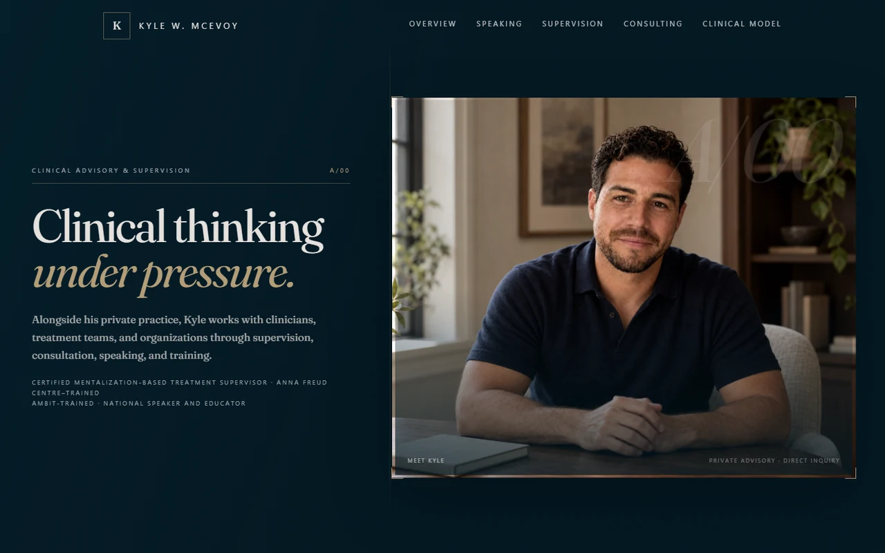 The professional advisory homepage, extending the same visual identity into a separate audience journey